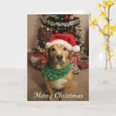 Carte Joyeux Noël Chien (Fleur jaune)