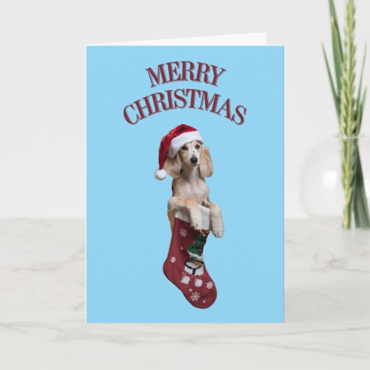 Carte Joyeux Noël Chien Saluki Mignon (Devant)