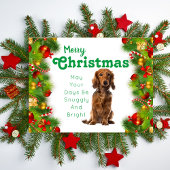 Carte Joyeux Noël Dachshund