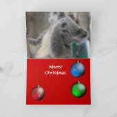 Carte Joyeux Noël d'Australie Chapeau Koala (Intérieur)