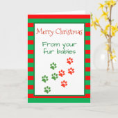 Carte Joyeux Noël de Chiens Chats Animaux multiples (Fleur jaune)