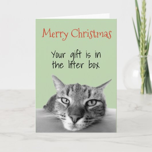 Carte Joyeux Noël du cadeau de chat dans la boîte à liti (Devant)