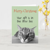 Carte Joyeux Noël du cadeau de chat dans la boîte à liti (Fleur jaune)