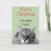 Carte Joyeux Noël Du Chat À L'Homme Je Drôle (Devant)