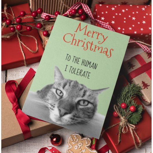Carte Joyeux Noël Du Chat À L'Homme Je Drôle