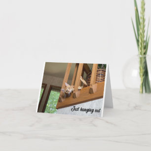 CARTE JOYEUX NOËL DU CHAT QUI TRAINASSE