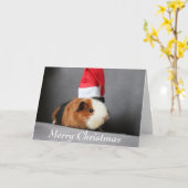 Carte Joyeux Noël Guinée porc dans un chapeau de Père No (Fleur jaune)