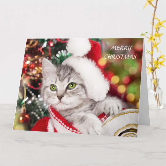 Carte Joyeux Noël Kitten (Fleur jaune)