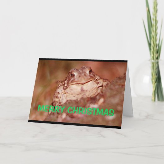 Carte Joyeux Noël La Même Chose Que Je T'Ai Pris Dernièr (Devant)