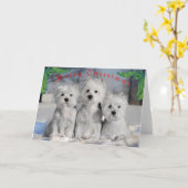 Carte Joyeux Noël - La Neige aux seigles (Fleur jaune)