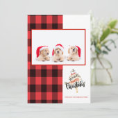 Carte Joyeux Noël Rouge Buffle Noir Plaid Photo (Debout devant)