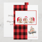 Carte Joyeux Noël Rouge Buffle Noir Plaid Photo (Devant / Derrière)