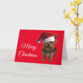 Carte Joyeux Noël Yorki (Fleur jaune)