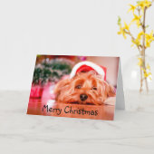 Carte Joyeux Noël Yorkie Épuisé Chien Amusant (Fleur jaune)