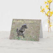 Carte Joyeux Pooch d'anniversaire ! (Fleur jaune)