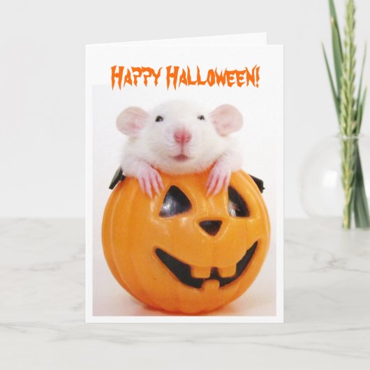 Carte Joyeux Rat Citrouille Halloween (Devant)