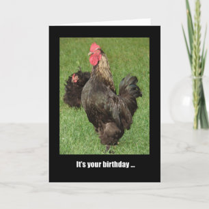 Carte Joyeux Rooster D'Anniversaire, Tirez Vos Choses !