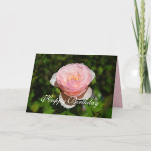 Carte Joyeux Rose anglais rose d'anniversaire