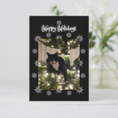 Carte Joyeux salut de vacances. Tuxedo cat. (Debout devant)