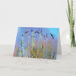 Carte Joyeux, Serein, Histoires dans la nature Dew Drop