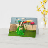 CARTE JOYEUX ST PATRICK (Fleur jaune)