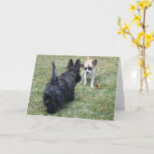 Carte Joyeux Terrier Écossais et Ami (Fleur jaune)