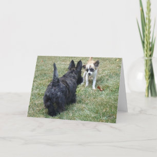 Carte Joyeux Terrier Écossais et Ami