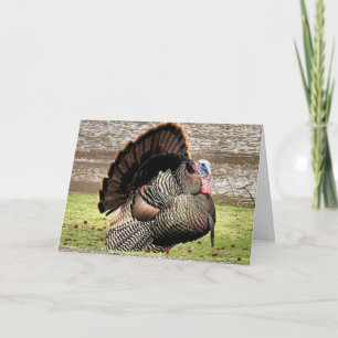 Carte Joyeux Thanksgiving