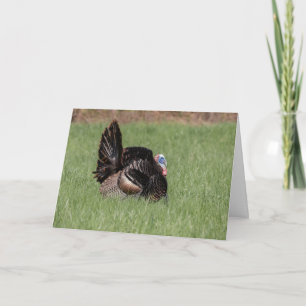 Carte Joyeux Thanksgiving