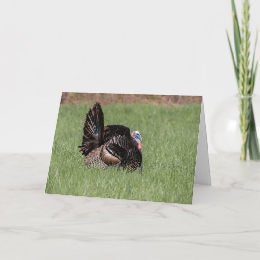 Carte Joyeux Thanksgiving (Devant)