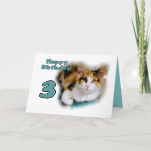 Carte Joyeux troisième anniversaire Calico Cat Card