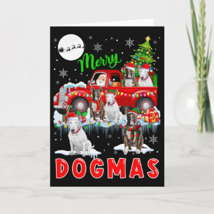 Carte Joyeux Xmas Chien Père Noël Transportant Des Taure