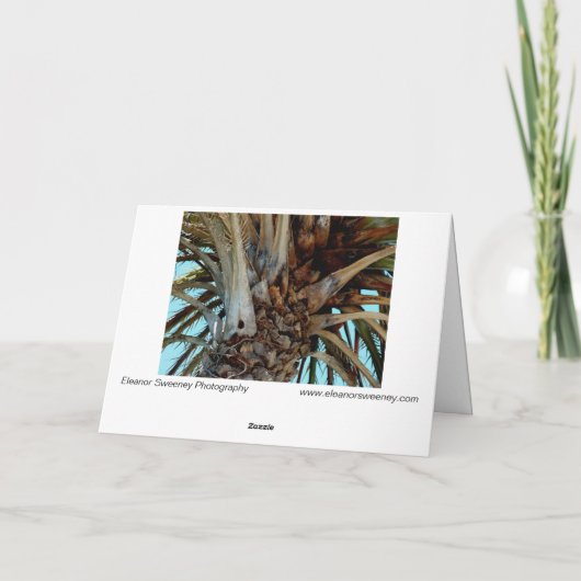 Carte "Joyful Palm" Close up, top of tree with blue sky (Dos)