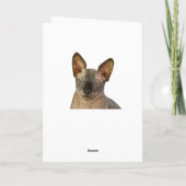 Carte Jugement Sphinx Chat Joyeux anniversaire (Dos)