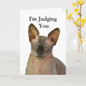 Carte Jugement Sphinx Chat Joyeux anniversaire (Fleur jaune)