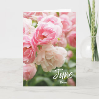Carte Juin Rose Rose Naissance Mois Fleur Anniversaire