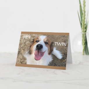 CARTE **JUMEAUX** ONT LEUR MEILLEUR ANNIVERSAIRE!