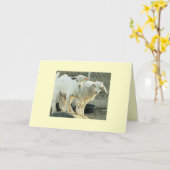 Carte Jumeaux pygméens de chèvre (Fleur jaune)