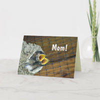 Carte jumelle du jour de mère d'oiseaux de bébé