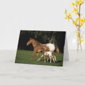 Carte Jument et poulain d'Appaloosa (Fleur jaune)