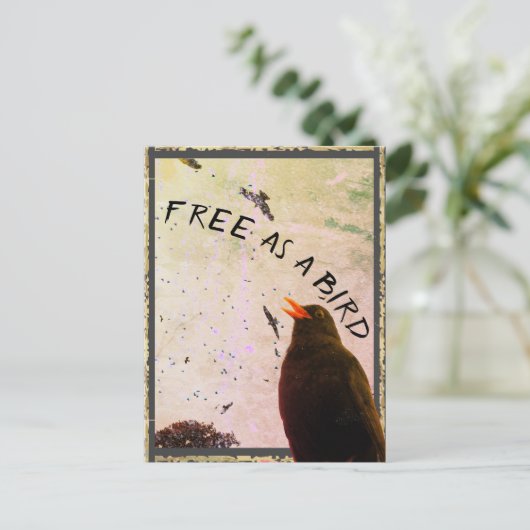 Carte Junction No 16 : Gratuit comme oiseau (Debout devant)