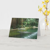 Carte Jungle (Fleur jaune)
