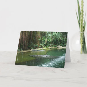 Carte Jungle