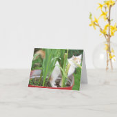 Carte JUNGLE KITTY-HAPPY 30e SIS (Fleur jaune)