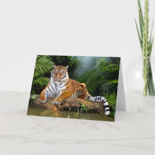 CARTE JUNGLE TIGER