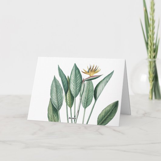 Carte Jungle tropicale Banane arbre Strelitzia Merci (Dos)