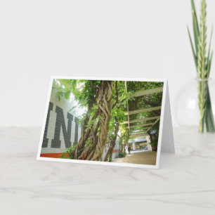 Carte Jungle urbaine