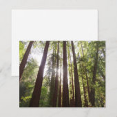 Carte Jusqu'aux séquoias le matin (Devant / Derrière)