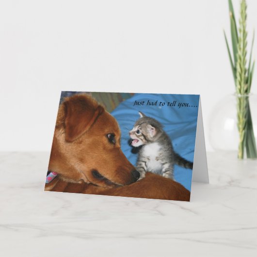 Carte Juste a dû vous dire…. (Devant)