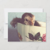 Carte Juste Chillin' (Devant)